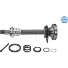 Steckwelle, Differential 100 498 0246/S