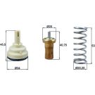 Thermostateinsatz mit Dichtung VW Passat/Touran 03-15 BEHR TX 209 80D