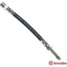 BREMBO Bremsschlauch T 85 033 ESSENTIAL LINE