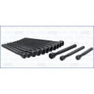 Zylinderkopfschraubensatz AJU81039400