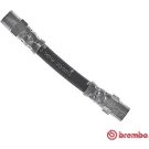 BREMBO Bremsschlauch T 06 034 ESSENTIAL LINE