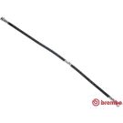 BREMBO Bremsschlauch T 56 179 ESSENTIAL LINE