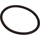 O-Ring F 00R 0P0 166