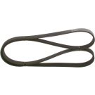 Keilrippenriemen AUDI,SEAT,SKODA,VW 1987948336
