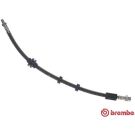 BREMBO Bremsschlauch T 23 208