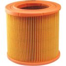 FILTRON Luftfilter AR 366/1