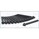 Zylinderkopfschraubensatz 81024300