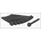 Zylinderkopfschraubensatz 81032900