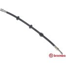 BREMBO Bremsschlauch T 24 038 ESSENTIAL LINE