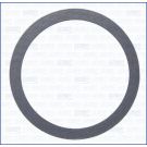 Dichtung, Abgasrohr 1459500