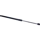 Gasfeder, Hinten L 546 660N 301171