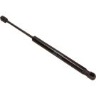 Gasfeder, Hinten L 377 740N 387683