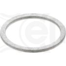 Dichtring 250.007