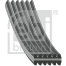 FEBI BILSTEIN Rillenriemen 34462