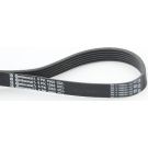 CONTINENTAL CTAM Keilrippenriemen 6PK1560