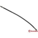 BREMBO Bremsschlauch T 61 051 ESSENTIAL LINE