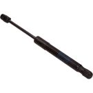 Gasfeder, Vorne L 281.5 590N 194558