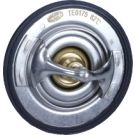 Thermostat, Kühlmittel 352317101750