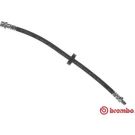 BREMBO Bremsschlauch T 24 133