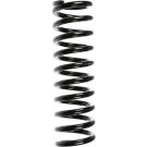SPIDAN Fahrwerksfeder 49226
