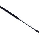 Gasfeder, Koffer-/Laderaum 81420