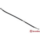BREMBO Bremsschlauch T 56 046 ESSENTIAL LINE