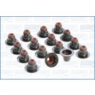 Dichtungssatz, Ventilschaft 57039000