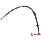 BREMBO Bremsschlauch T 85 157 ESSENTIAL LINE