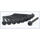 Zylinderkopfschraubensatz AJU81017900