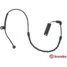 BREMBO Warnkontakt, Bremsbelagverschleiß A 00 249 PRIME LINE