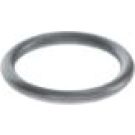 O-Ring 3430210603