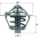 Thermostateinsatz mit Dichtung FORD,VOLVO,MAZ,VOLVo 1.25-1.6i 03 BEHR TX 108 82D