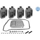 Ölwechselkit mit Öl 1001350013