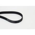 CONTINENTAL CTAM Keilrippenriemen 6PK1605