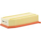 FILTRON Luftfilter AP 133/5