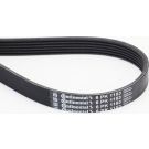 CONTINENTAL CTAM Keilrippenriemen 6PK1153
