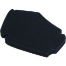 Motorluftfilter. Piaggio Zip 4T 50-100Cc 10 060 0431