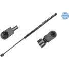 Gasfeder, Koffer-/Laderaum 6409100018