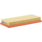 FILTRON Luftfilter AP 092/3