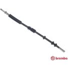 BREMBO Bremsschlauch T 85 139 ESSENTIAL LINE