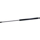 Gasfeder, Hinten L 569.5 620N 882183