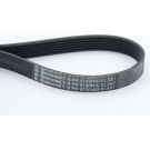 Keilrippenriemen 6Pk873Elast 6PK873 ELAST