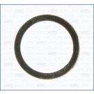 Dichtring, Abgasrohr 19005400
