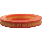 FILTRON Luftfilter AR 204/1