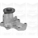 PA 1000 Wasserpumpe PA1000