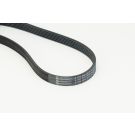 CONTINENTAL CTAM Keilrippenriemen 6PK860 ELAST