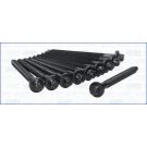 Zylinderkopfschraubensatz 81024700
