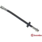 BREMBO Bremsschlauch T 24 036 ESSENTIAL LINE