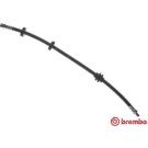 BREMBO Bremsschlauch T 23 048 ESSENTIAL LINE