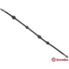 BREMBO Bremsschlauch T 23 037 ESSENTIAL LINE
